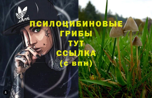 гидра Богданович