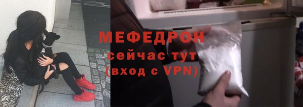 гидра Богданович