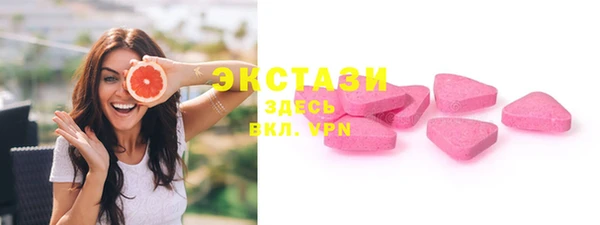 гидра Богданович