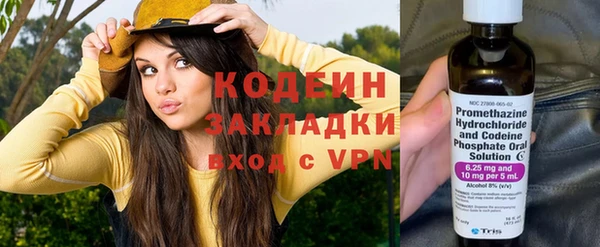 гидра Богданович
