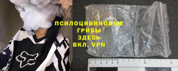 гидра Богданович