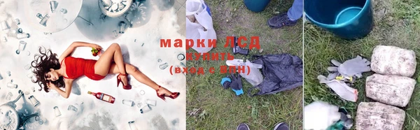 гидра Богданович