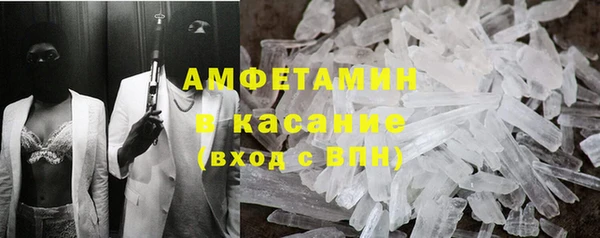 гидра Богданович
