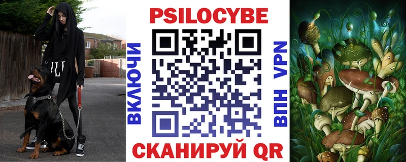 Псилоцибиновые грибы Psilocybe  Купить закладки  Копейск 
